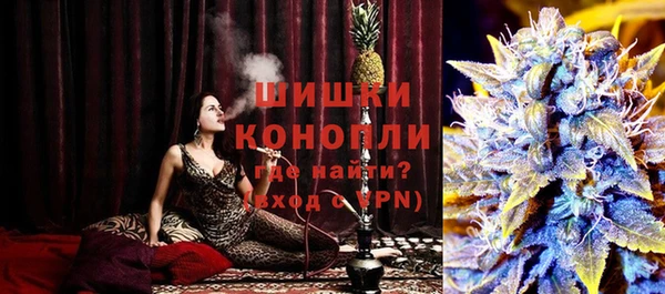 индика Армянск