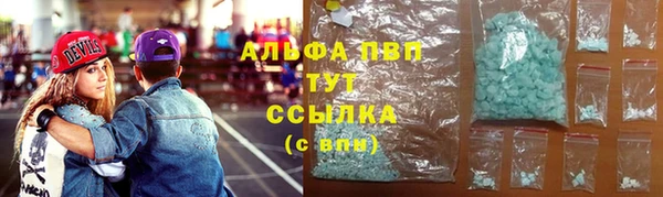 индика Армянск