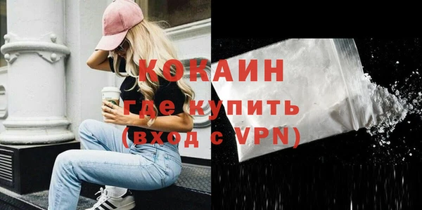 индика Армянск