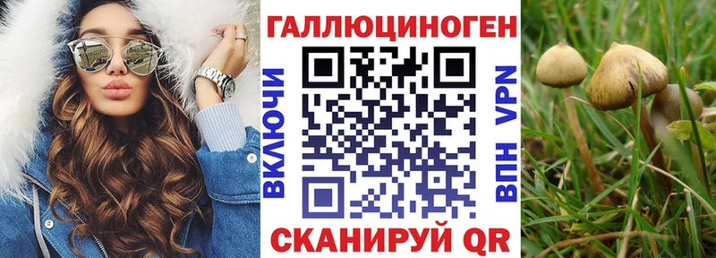 Псилоцибиновые грибы GOLDEN TEACHER  Купить где  Ступино 